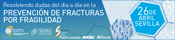 Banner SEOIMM Sevilla