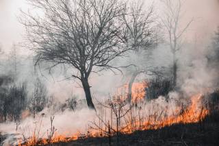 RECOMENDACIONES DE SALUD ANTE INCENDIOS CERCANOS