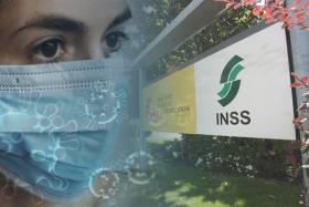 La SEMG aclara dudas sobre la incapacidad temporal y propone medidas para reducir su carga laboral en Atenci&oacute;n Primaria